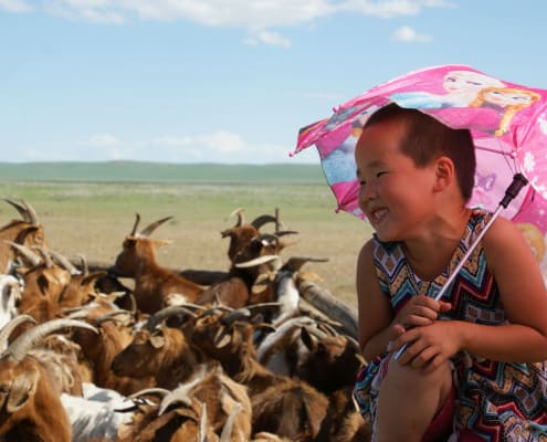 Child and Cashmere Goats